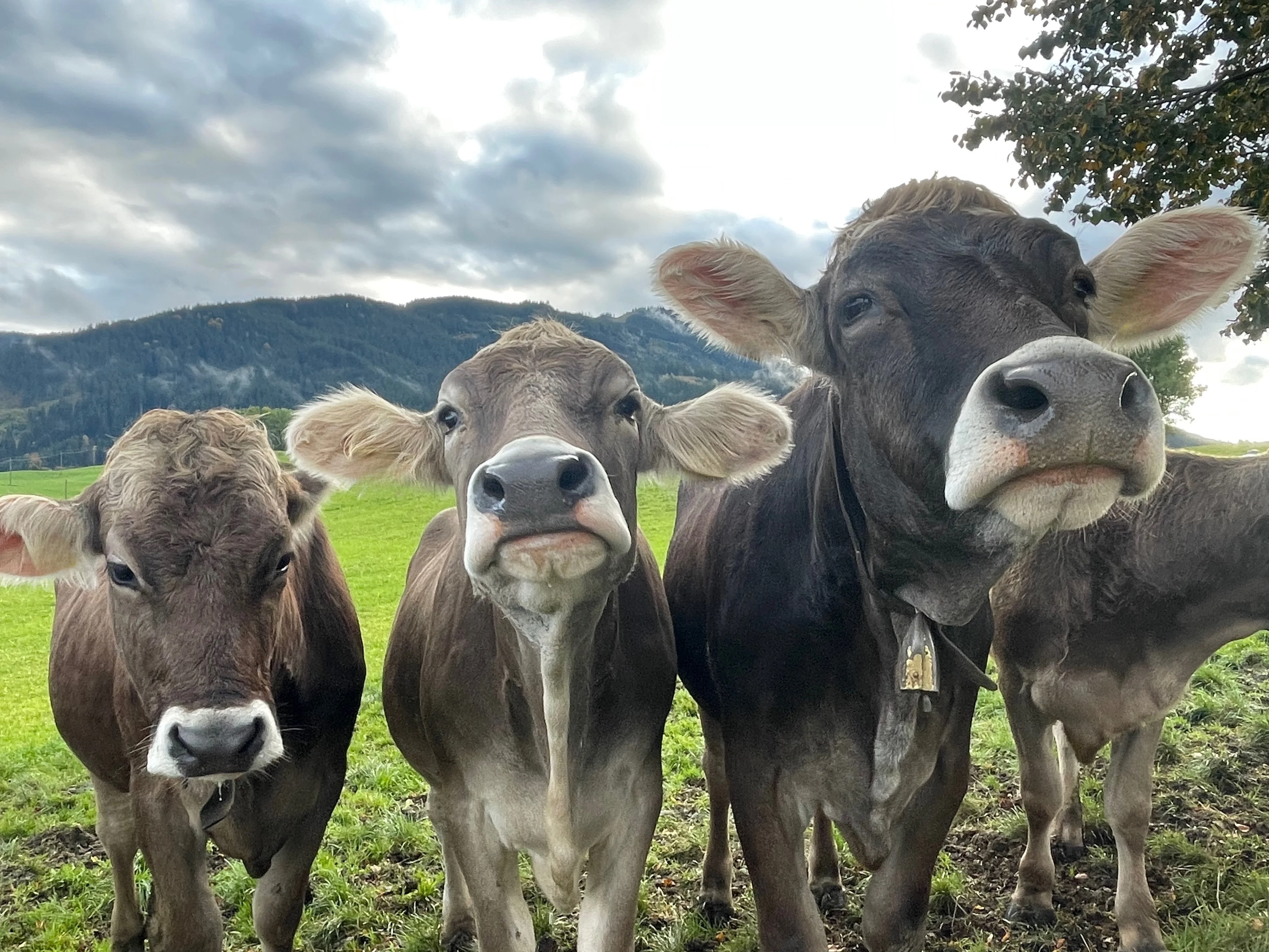 Eindruck aus der Praxis Dr. Linda Kaufmann